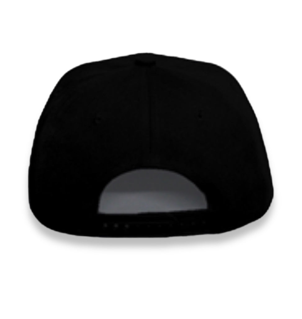 Pet It Classic Snapback